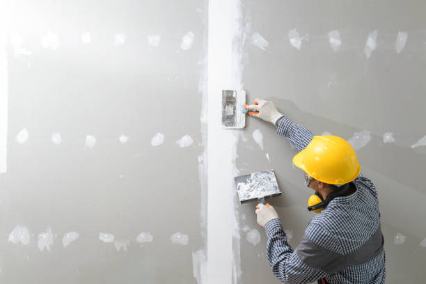 Best Mold Damage Restoration  in Columbus Grove, OH