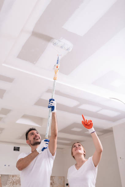 Biohazard Mold Removal in Columbus Grove, OH